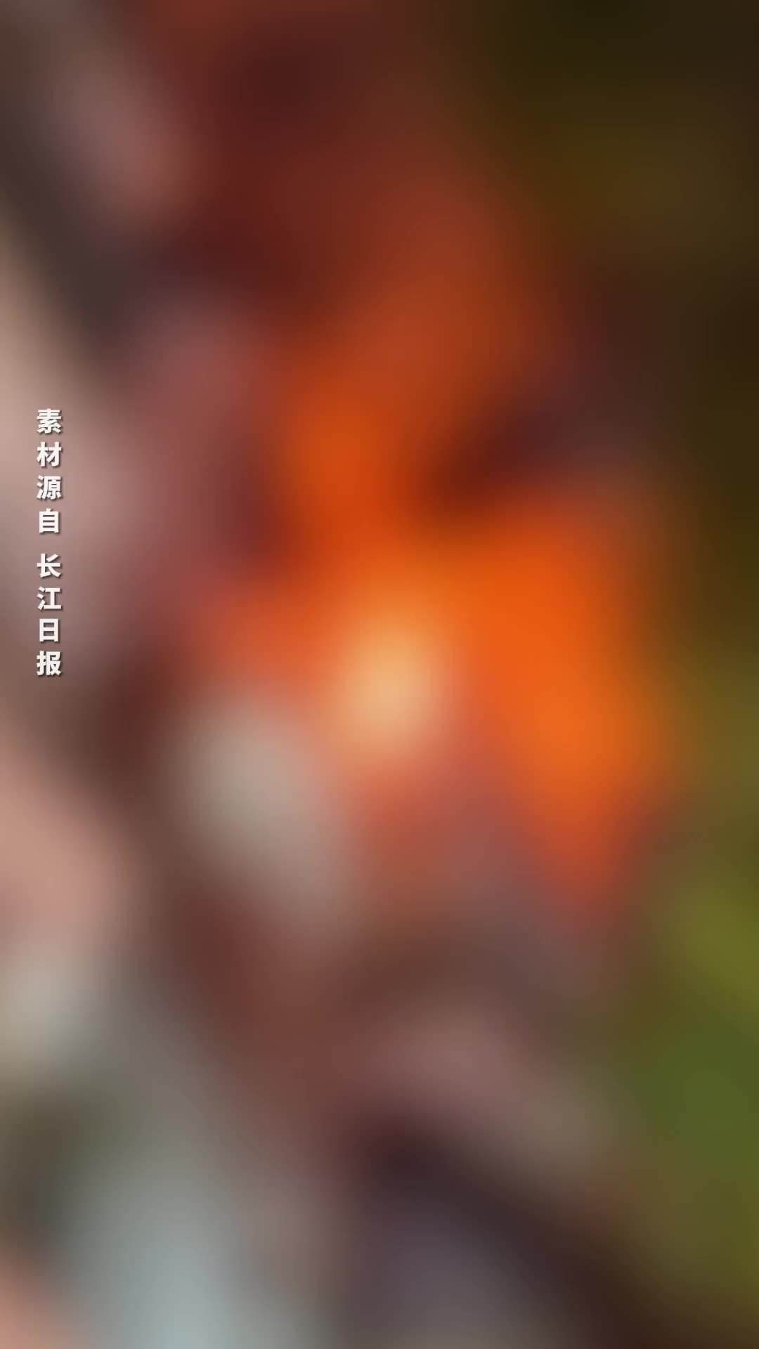 武汉一28岁消防员火场晕倒后牺牲：奋战近1小时，因高温高热致多脏器损伤