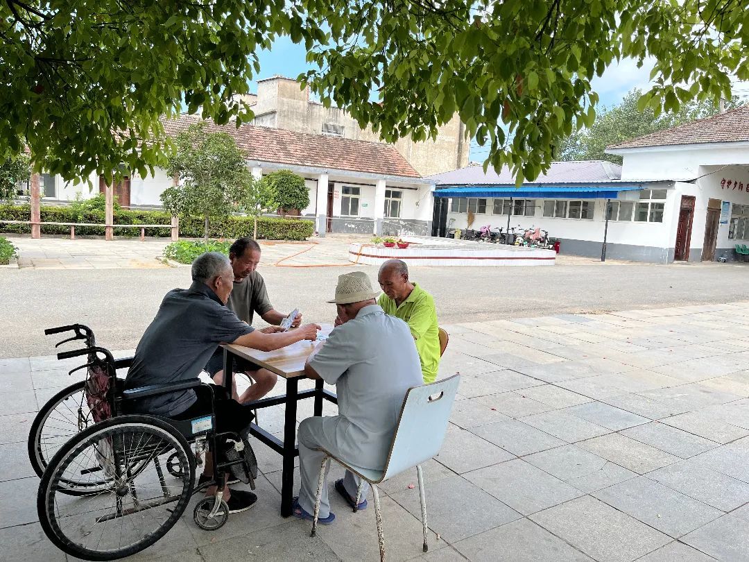 瞧!邳州老人的“被宠爱”日常