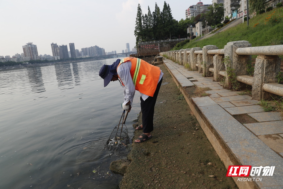 唐振衡正在清理上游漂流下来的水草。