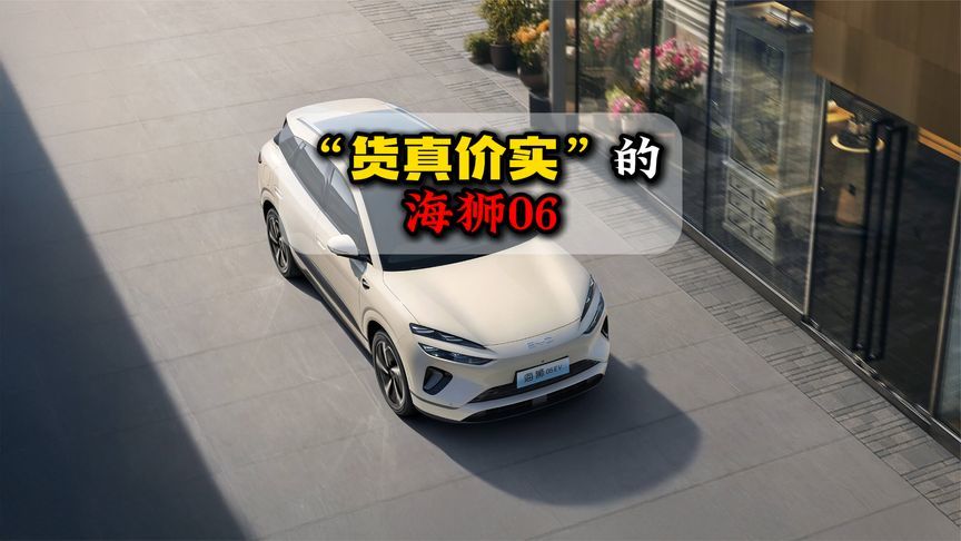 “货真价实”的海狮06