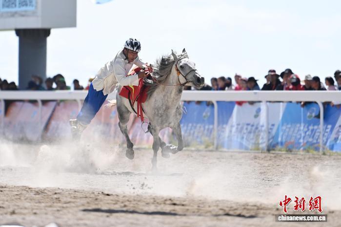 图为开幕式现场马术表演　中新社记者　九美旦增　摄