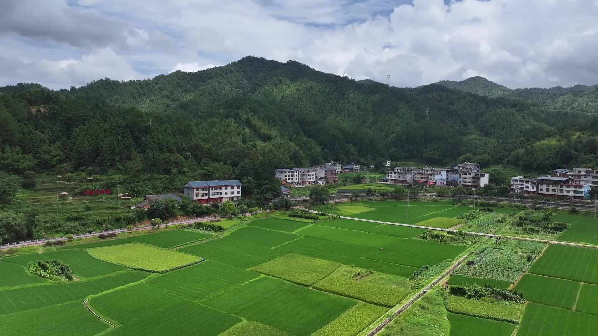 千城百县看中国｜福建宁化：深挖文化内涵 赋能乡村振兴