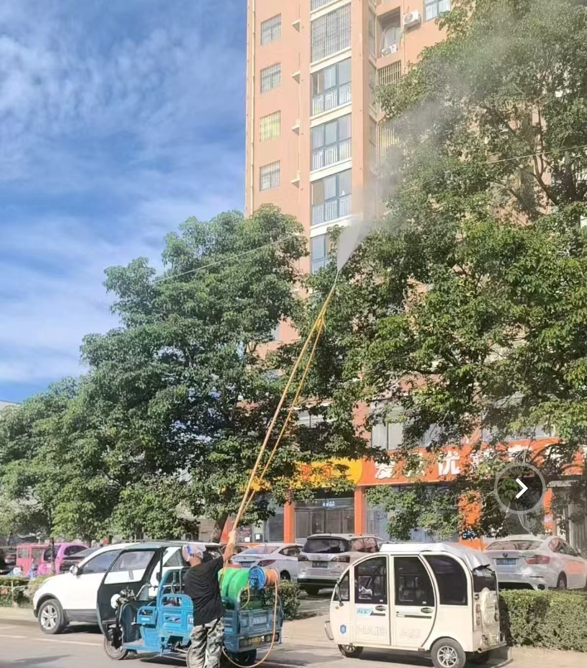區園林職工運用高射程噴霧車噴藥物防治白粉虱