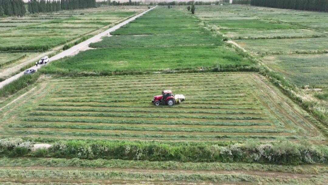 农机上阵大数据“慧”种地 阿克塞田间地头科技范拉满