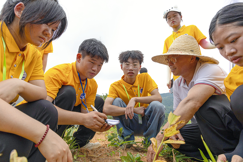 江西旅游商贸职业学院“常青藤”实践队:青春建功新时代 挺膺担当谱华章