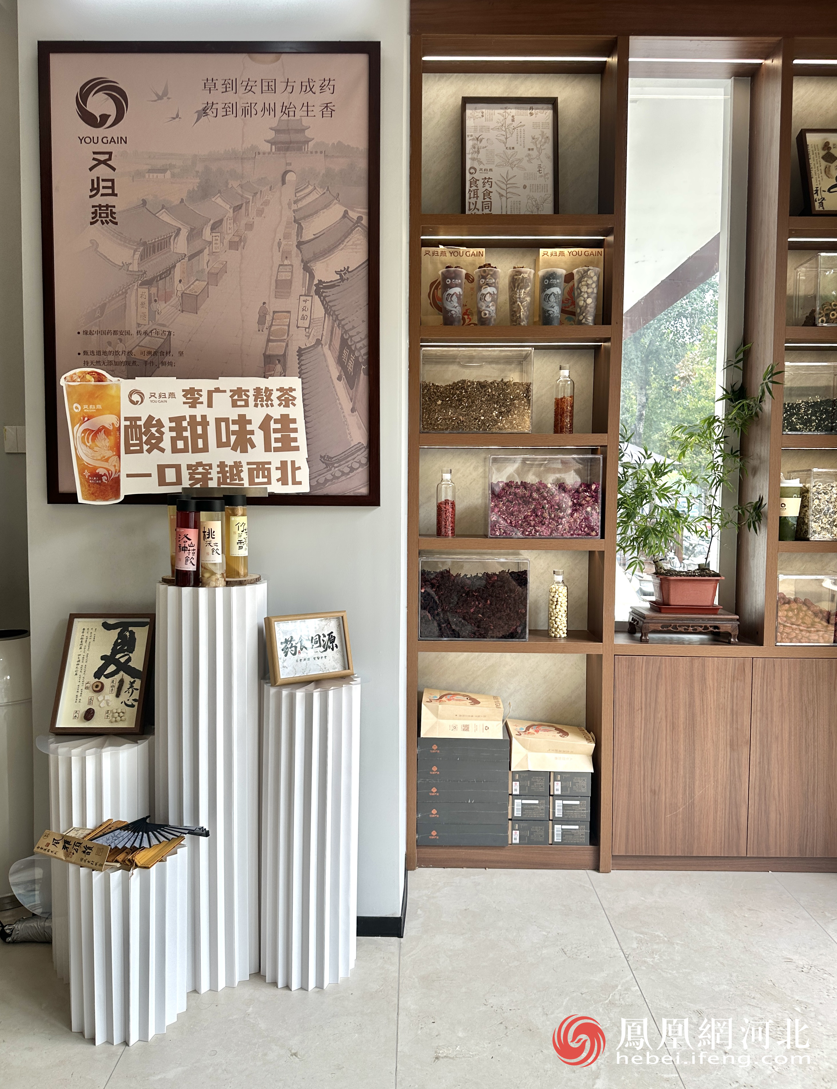 盛大开业！石家庄迎来首家新中式药膳茶饮！「又归燕」携权威研发背书打造都市养生新地标