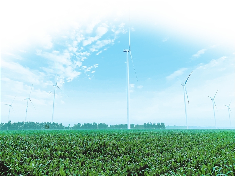 濮阳市积极开发风能资源，风电发展步伐不断加快。图为华能濮阳县500兆瓦风电场。 濮阳县委宣传部供图