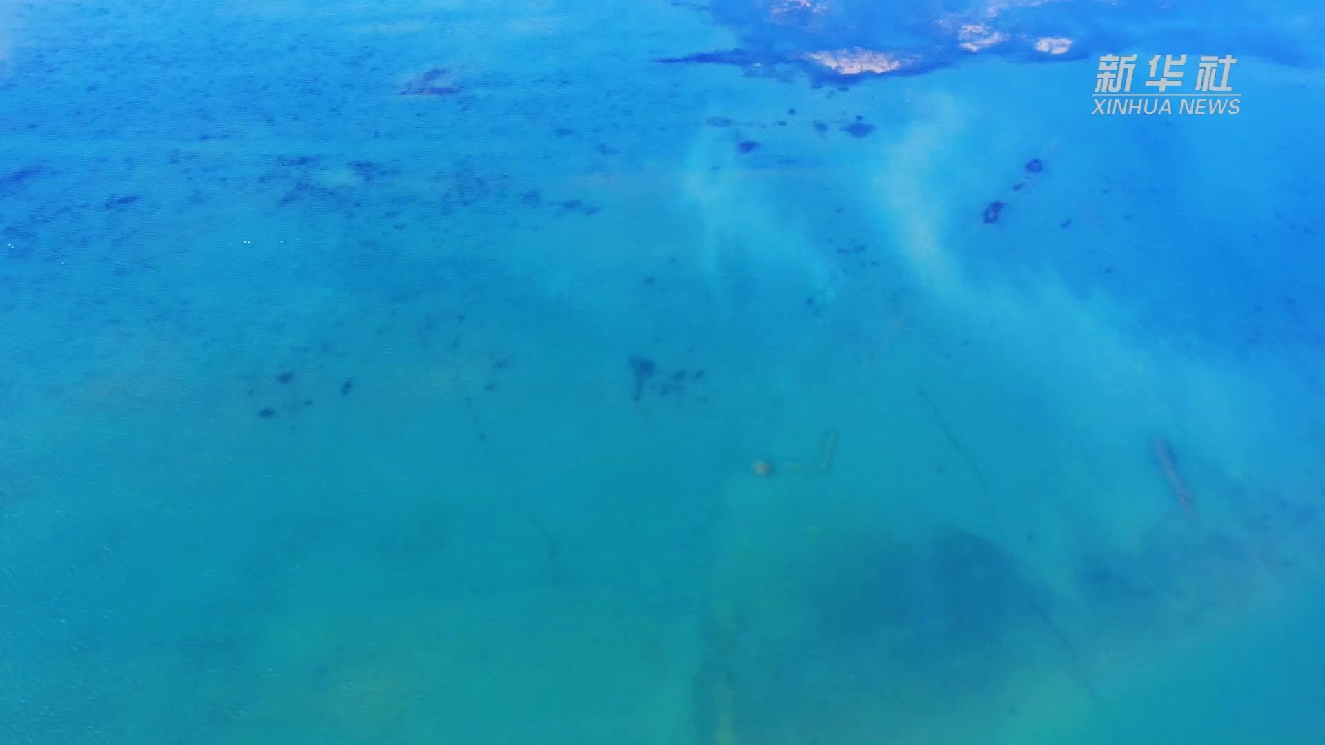 千城胜景｜河北徐水：晴光照水 鸭戏碧波