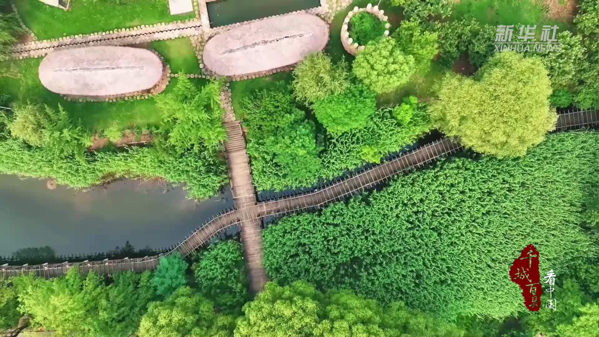 千城百县看中国｜山东兰陵：都市边的“绿野仙踪”