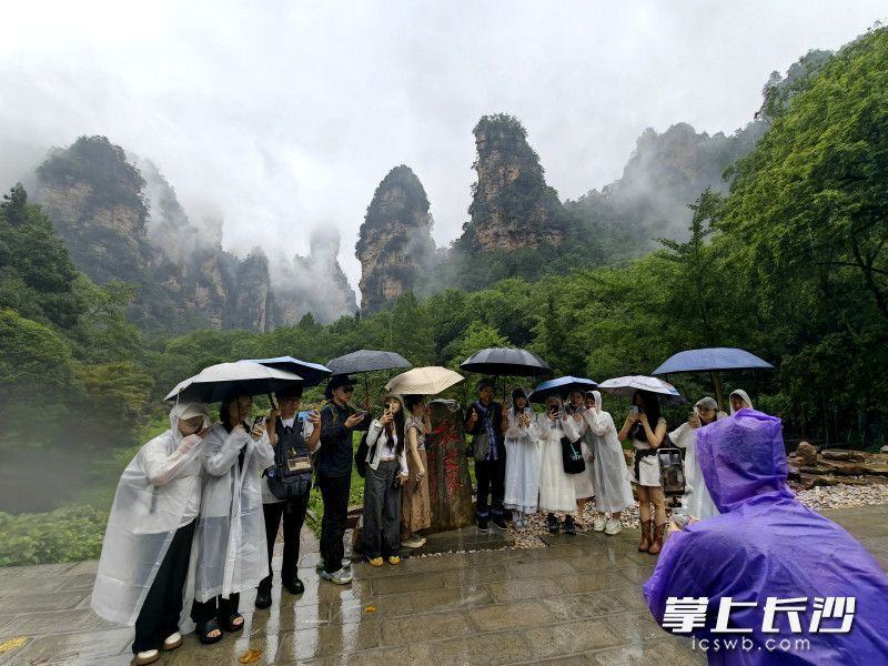 重庆的网络达人、旅游博主走进张家界国家森林公园打卡。