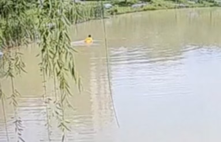 蒋巧云跳入池塘的监控视频截图