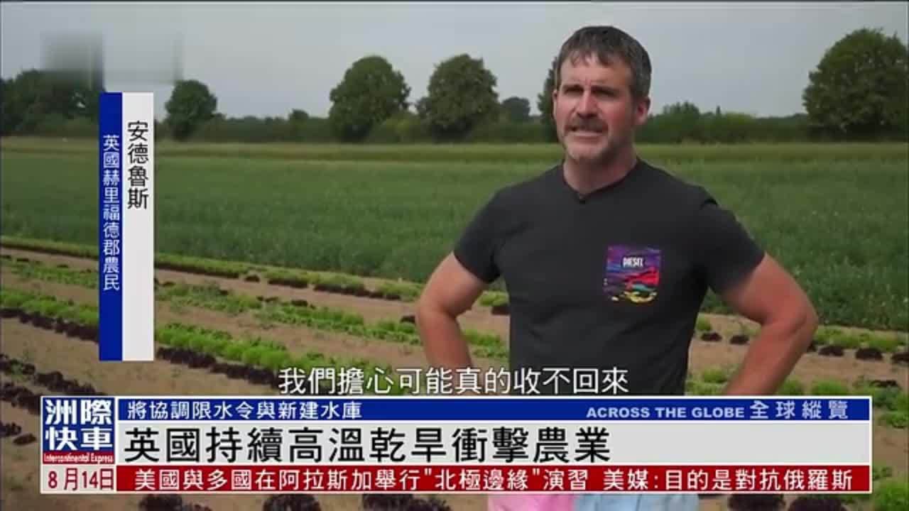 英国持续高温干旱冲击农业