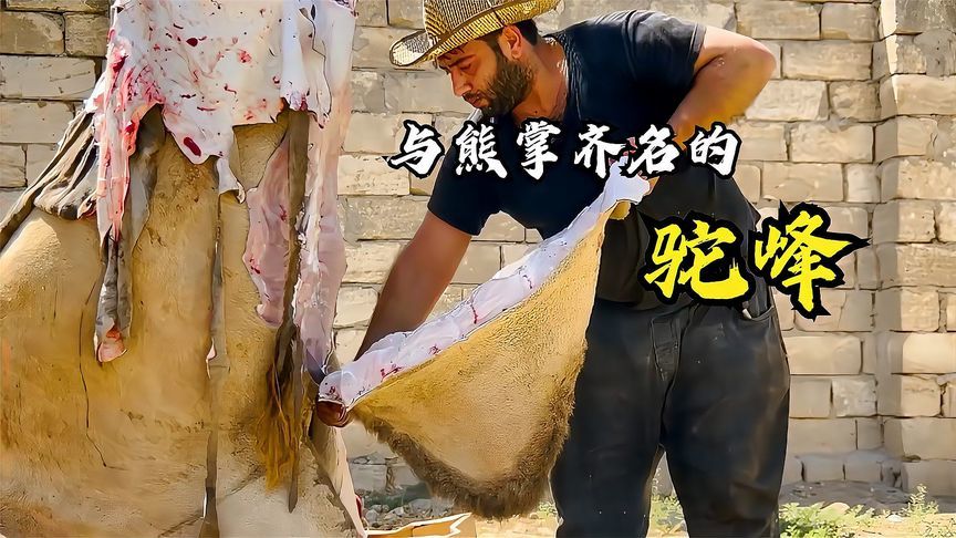 八珍之首的驼峰，见识一下外国人怎么做美食吃