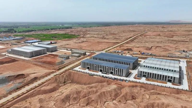 科技赋能“万土之王”全产业链 临泽“点石成金”