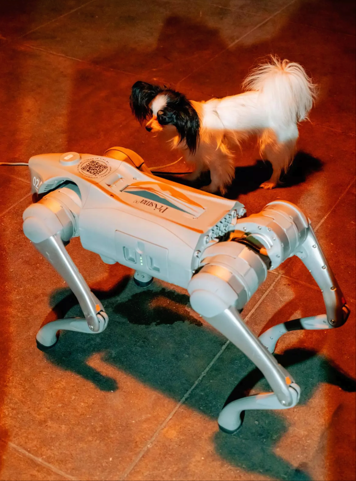 波士顿动力机器狗Spot