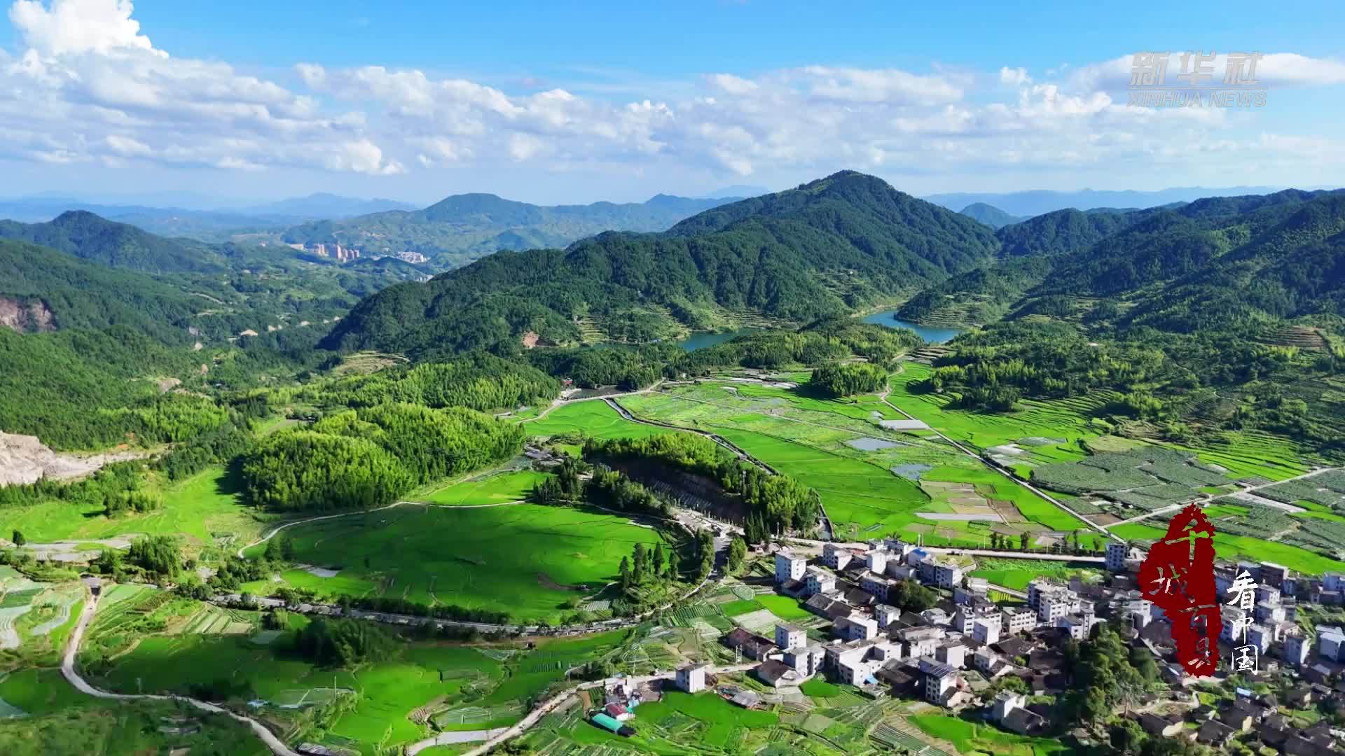 千城百县看中国｜福建寿宁：绿浪千重奏丰年
