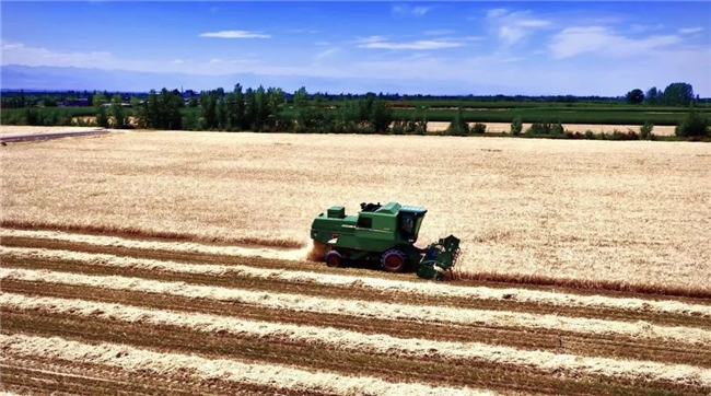 点击查看原始图片