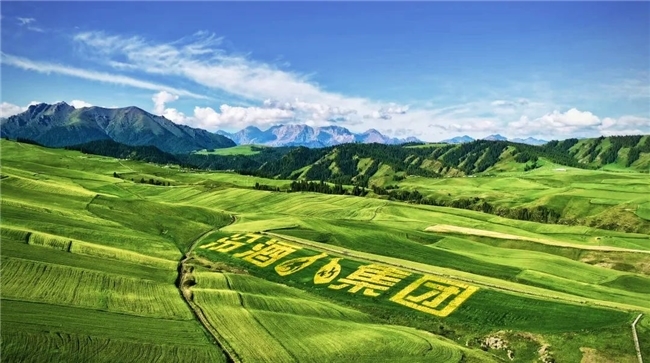 点击查看原始图片