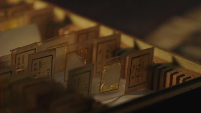 李四光把中国䗴科化石介绍给世界，靠研究一块石头完成自己的毕业作品