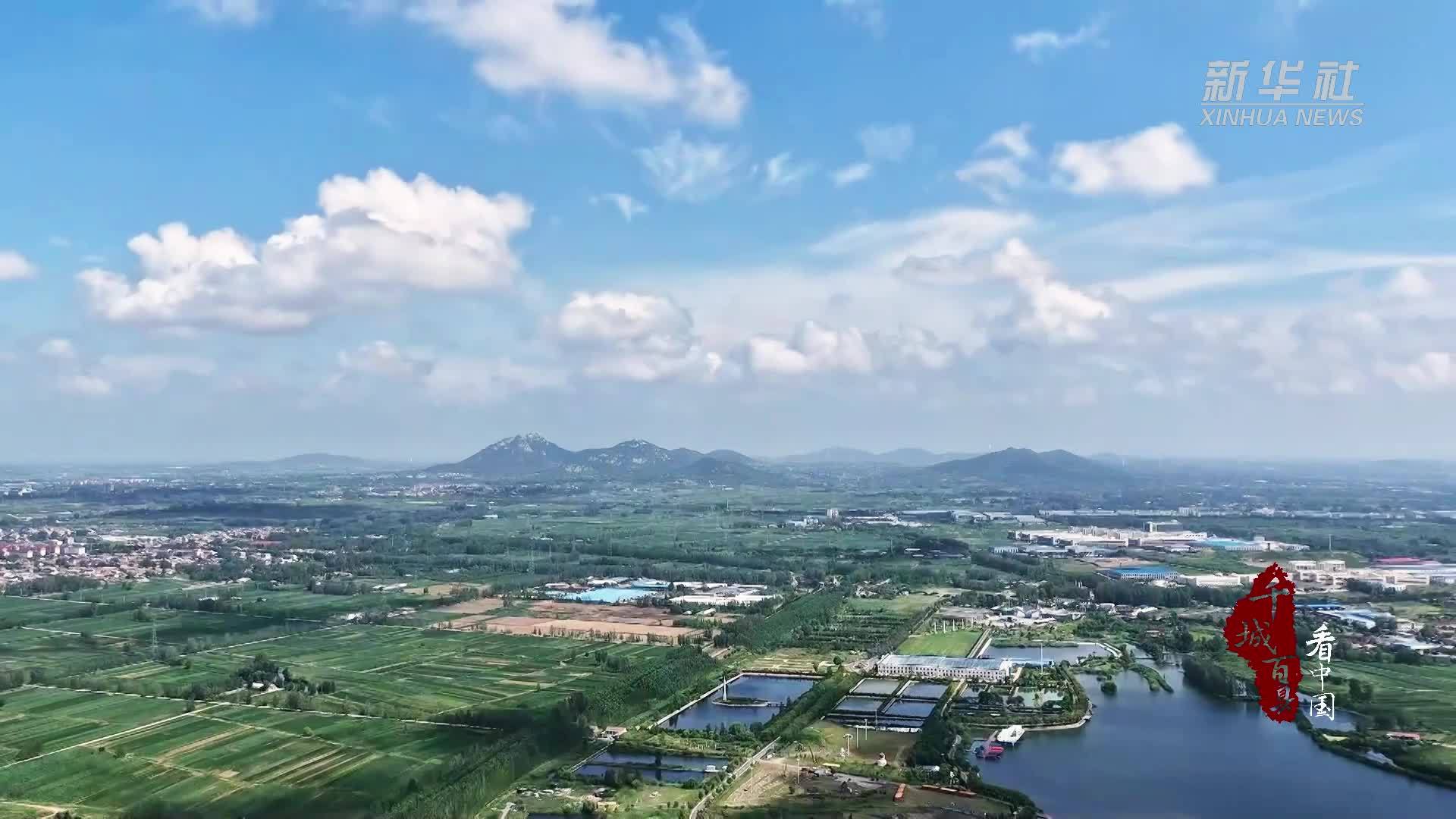 千城百县看中国｜山东临沭：向日葵盛开惹人醉