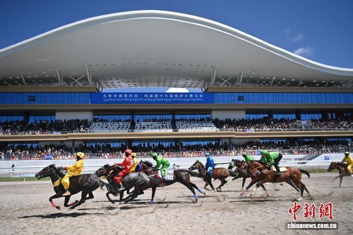 图为赛马选手在格萨尔赛马中心比赛中　中新社记者　九美旦增　摄