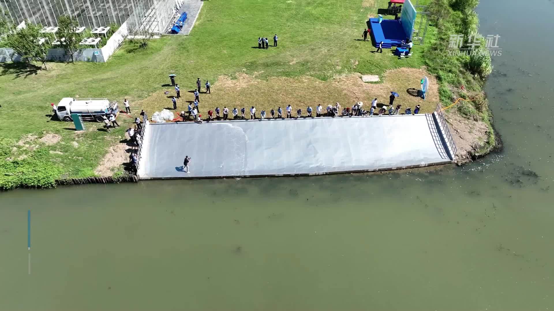 浙江湖州：南太湖畔设立水生态修复基地