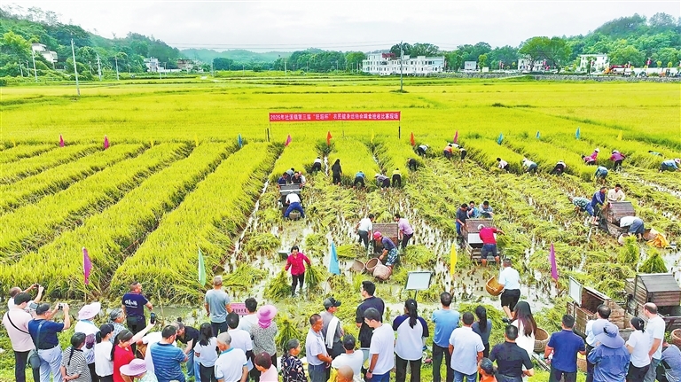 上犹县：趣味运动会（图）