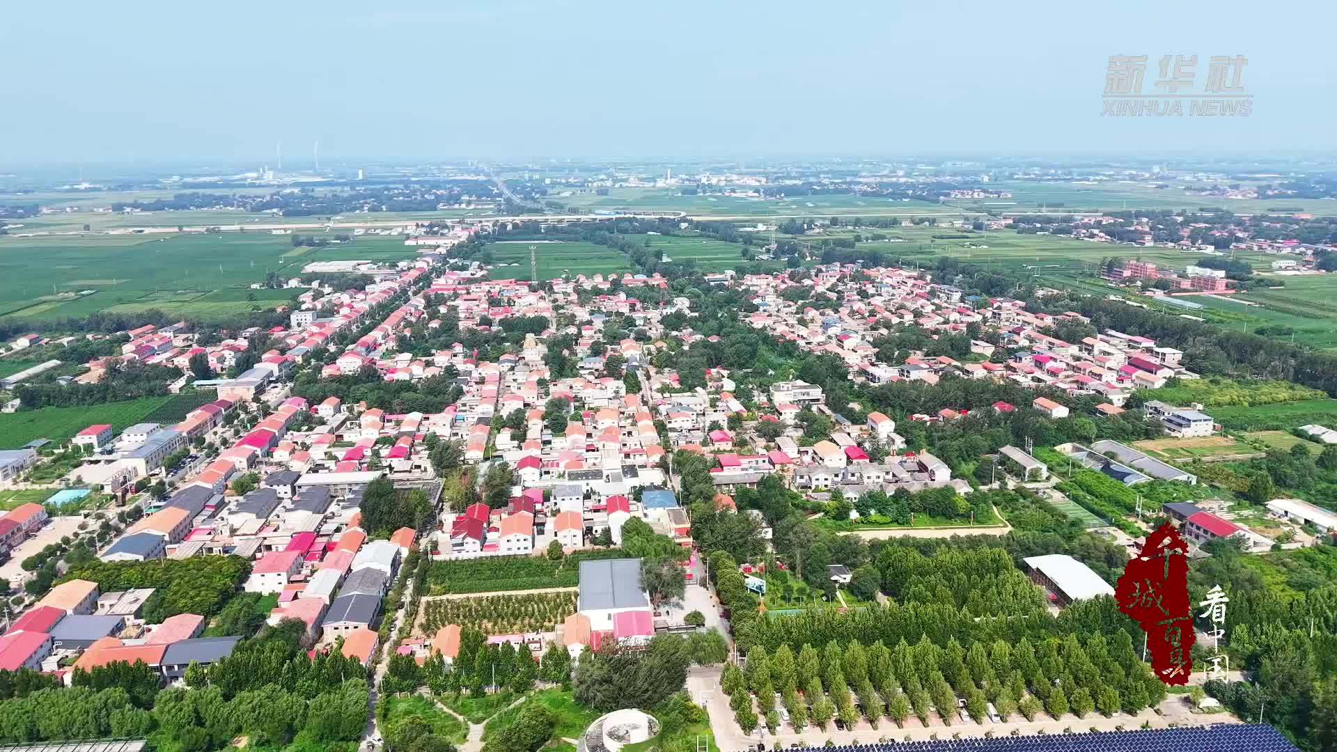 千城百县看中国｜河北馆陶：箱包“缝”出致富路