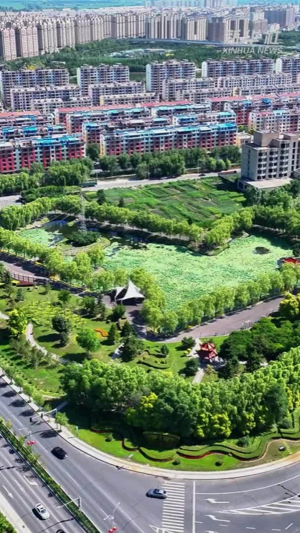 千城胜景｜吉林九台：荷满池塘花轻摇