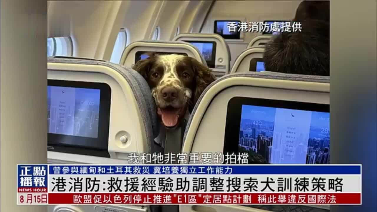 香港消防处：救援经验助调整搜索犬训练策略