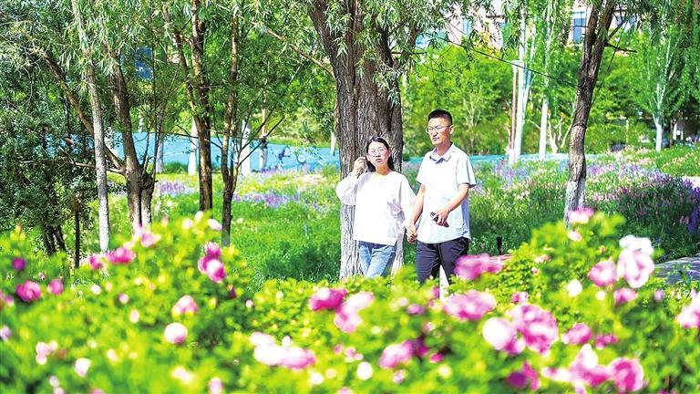 市民在林荫小道散步