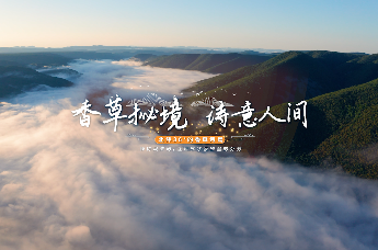 千年商都，泉海即墨。《山东手造·指尖即墨》栏目第二期带您走进赫柏香草园，探寻香草的奥秘。#即墨香草 #即墨手造