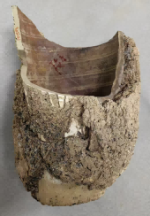 (图二十九,白釉珍珠地梅瓶标本,段店窑采集,现藏平顶山学院中国陶瓷工艺博物馆)