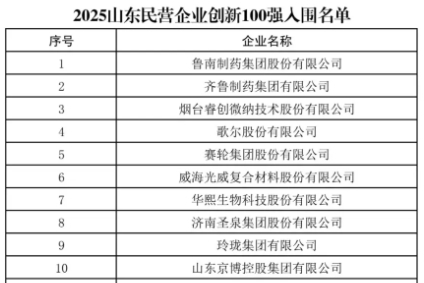 2025山东民营企业创新100强公示名单中前十强