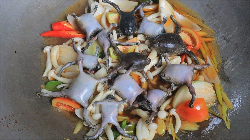 东南亚人吃蛋蛋蛙，比东北人吃林蛙还生猛，把我看懵了