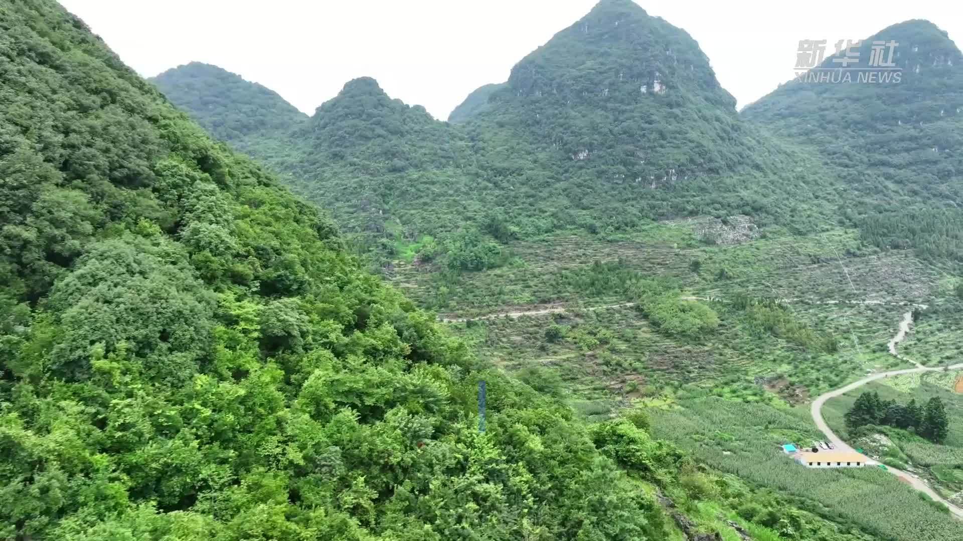 云南罗平：“坡地小火车”破解石漠山区运输难题