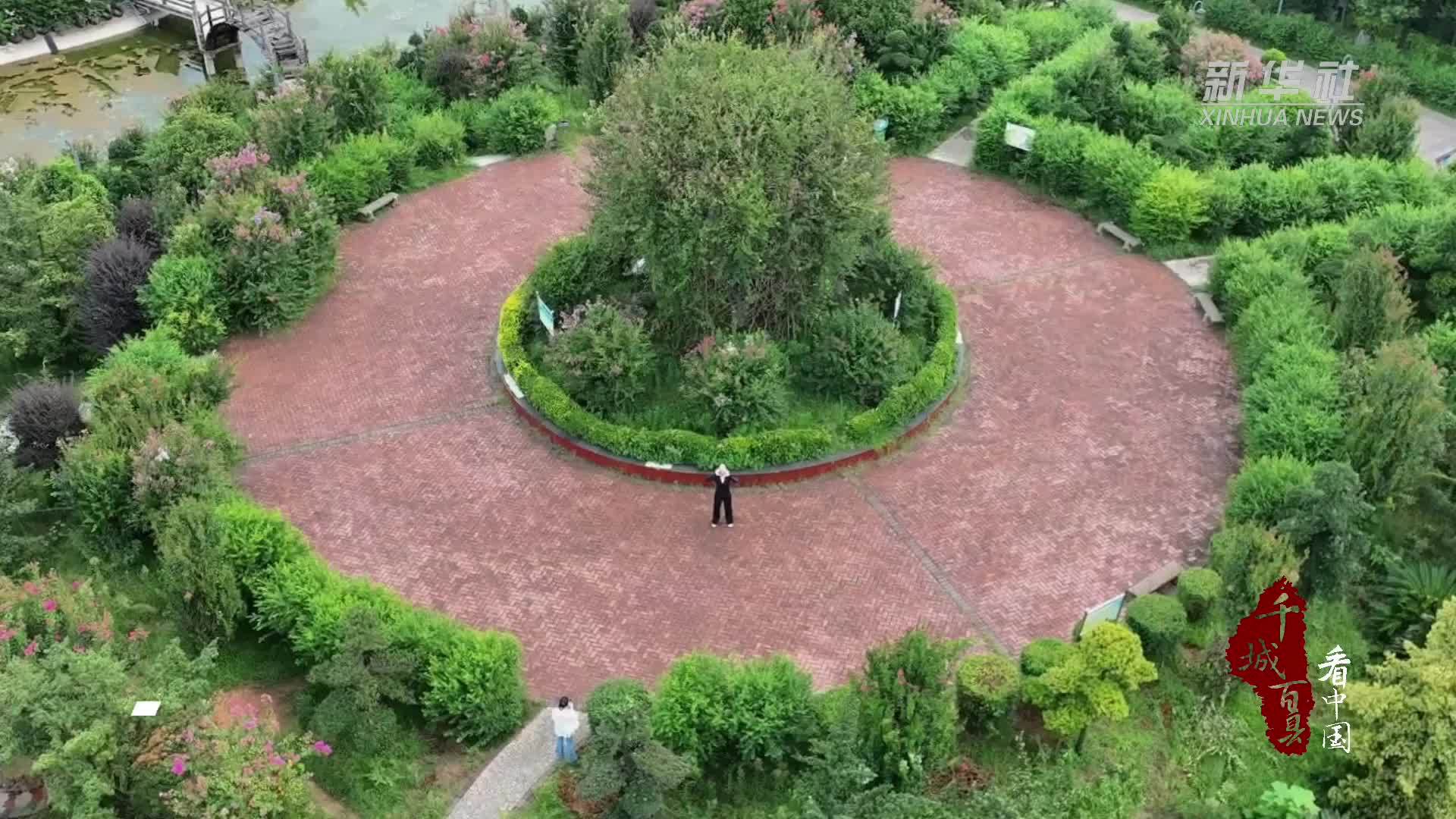 千城百县看中国｜湖南双清：穿越紫薇花雨的奔跑
