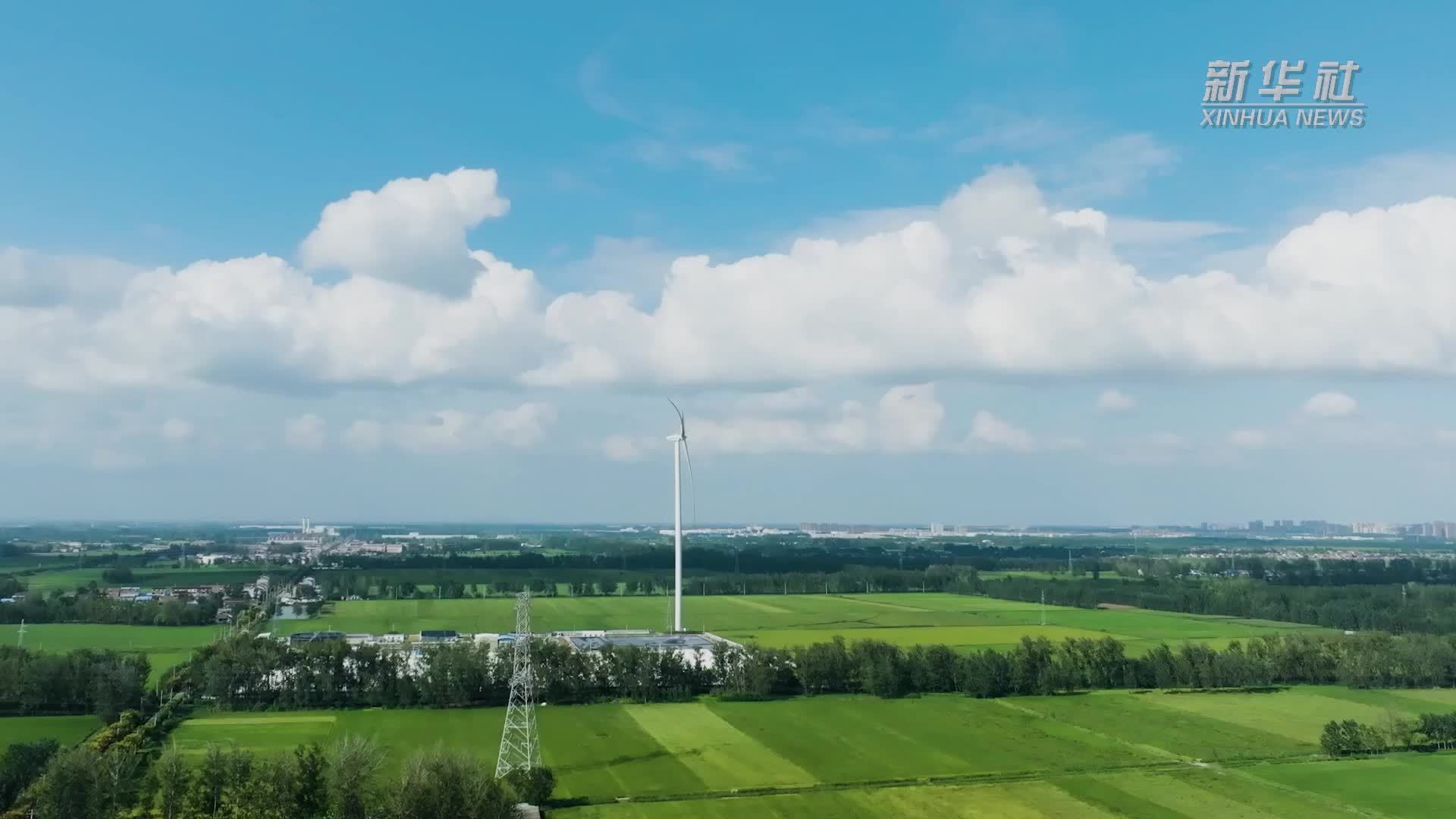 秸秆变“绿电”蹚出“双赢”路