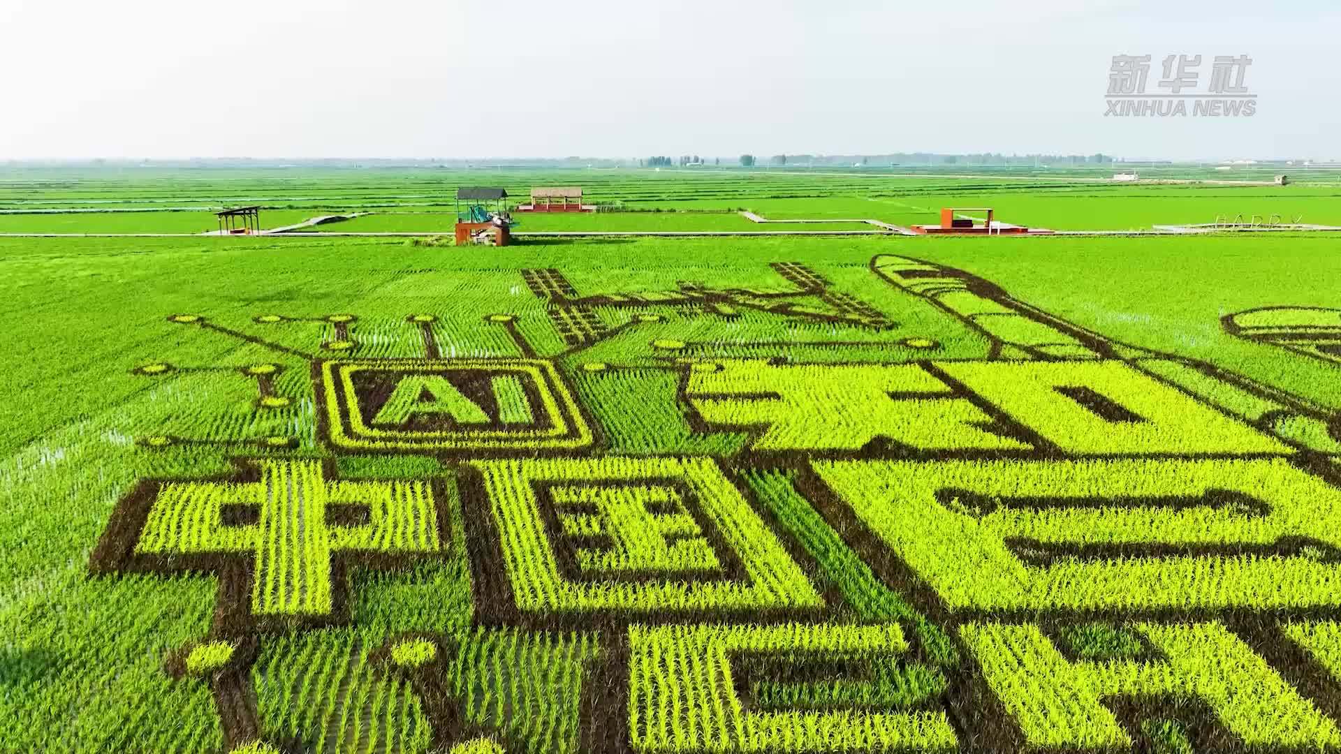 肥从“天”上来 科技助农家