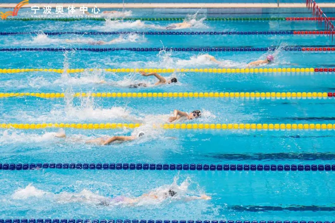 图片均为比赛场景，组委会供图