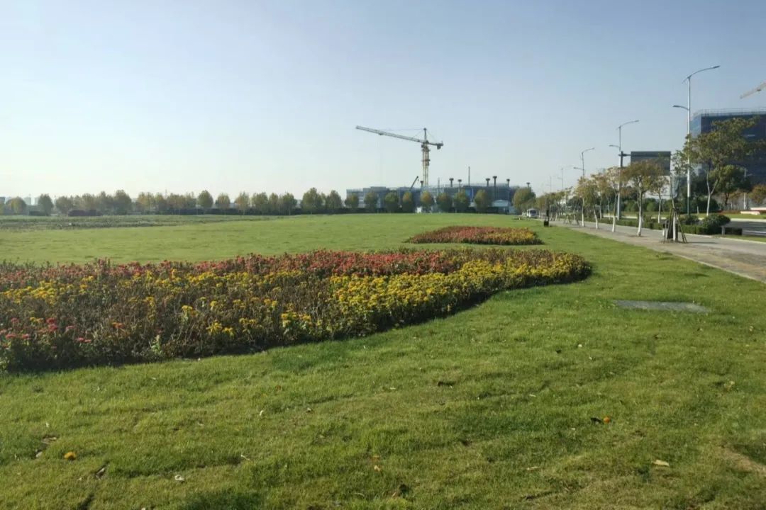 ▲区文体中心东地块