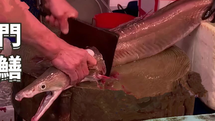 鱼王杀19斤的生猛大鳝鱼，肉竟然按两卖？
