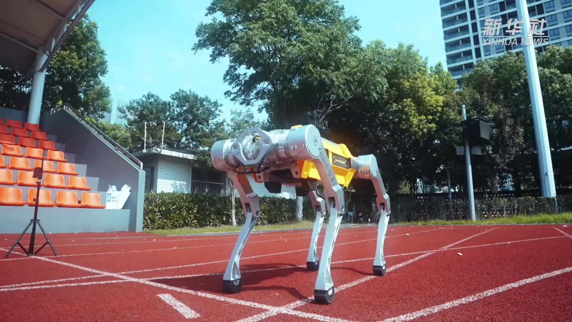 浙大四足机器人打破百米冲刺吉尼斯世界纪录
