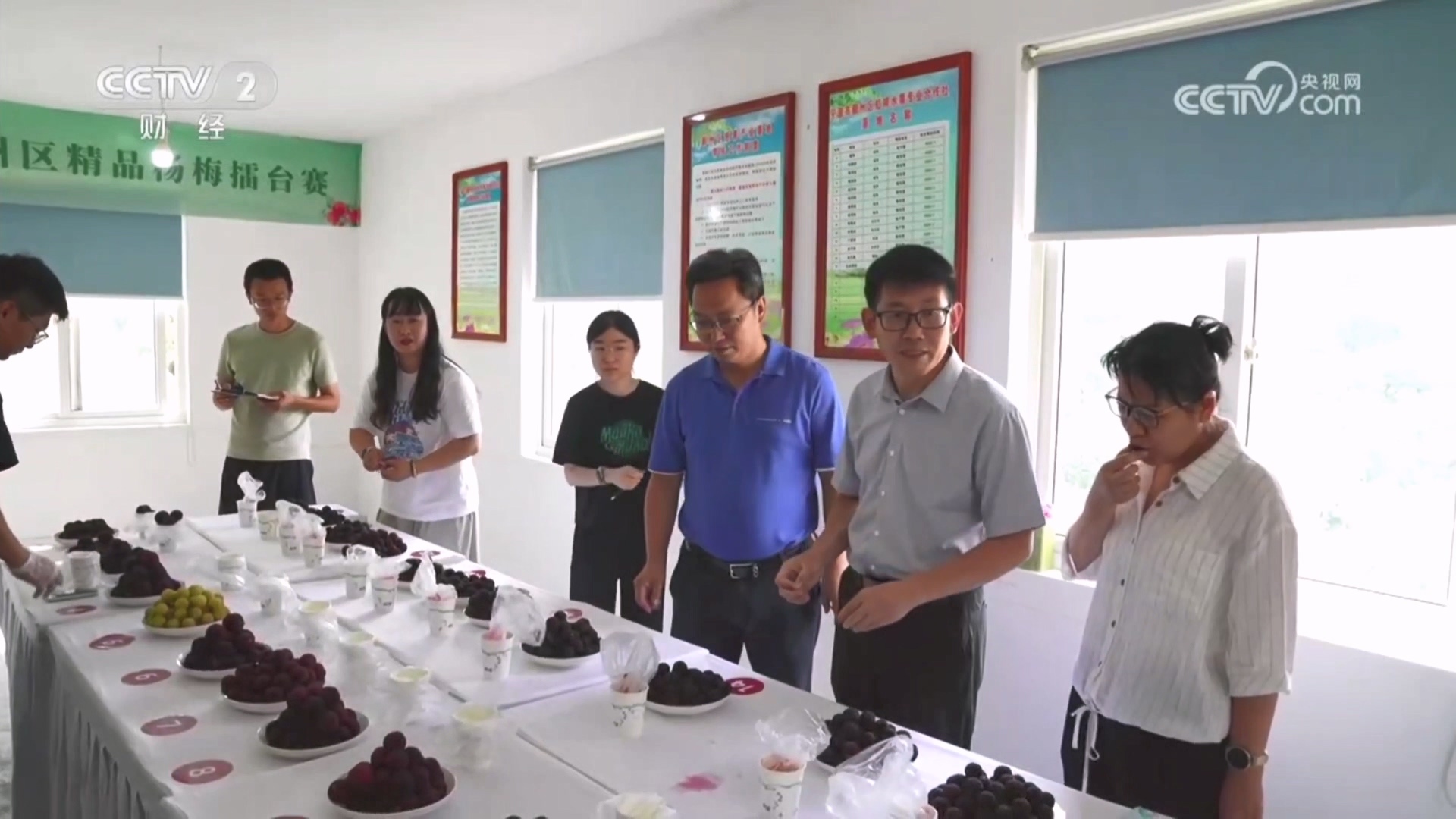 咸祥元素闪耀央视《欢乐大猜想》 七分钟解锁乡村宝藏魅力