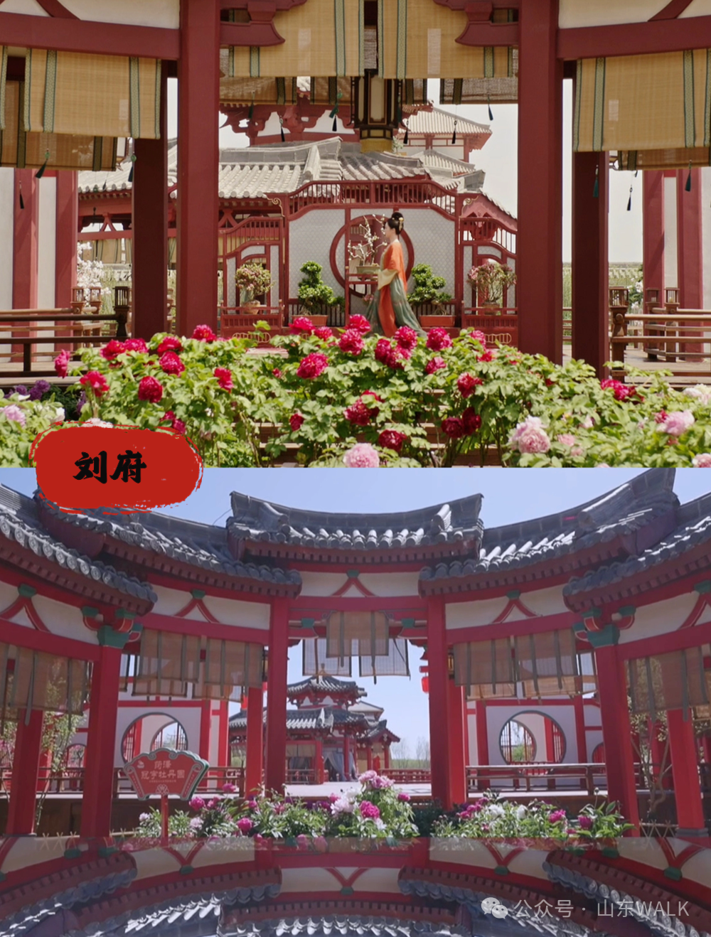 （图片来源：乐陵影视城）