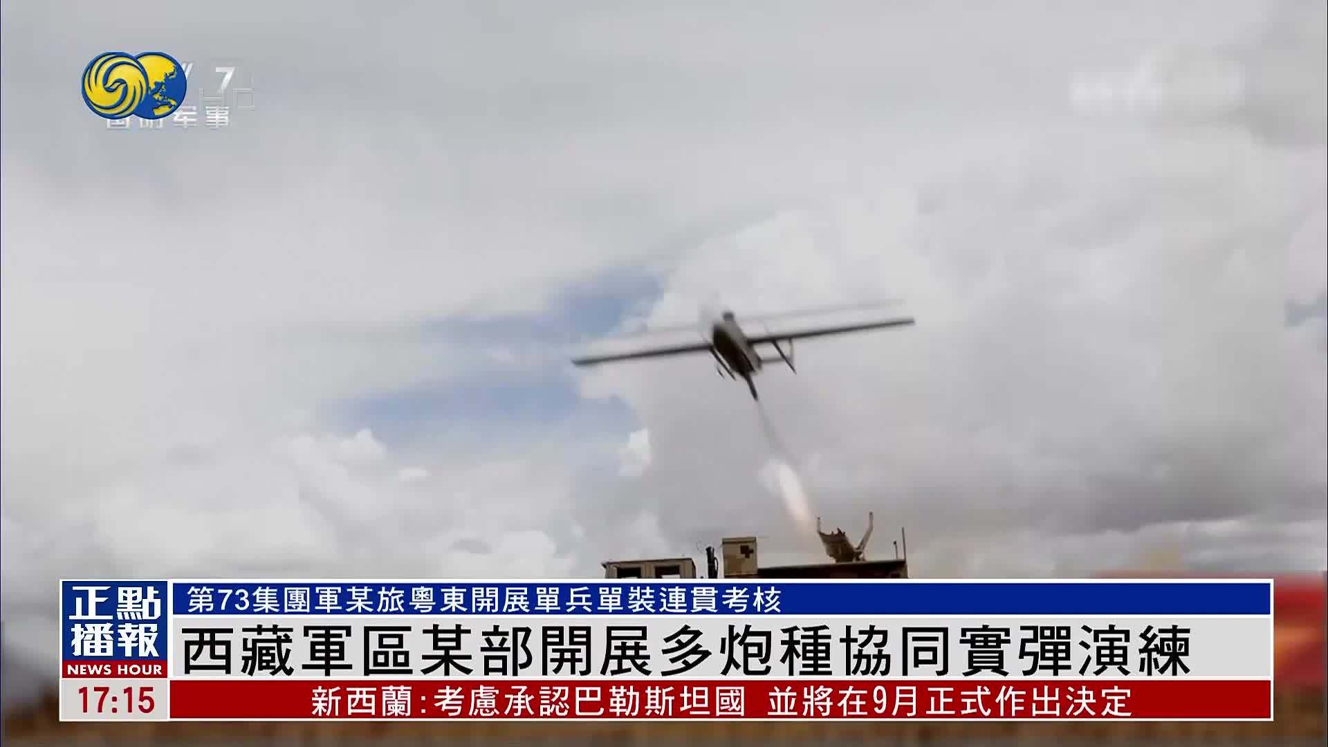 西藏军区某部开展多炮种协同实弹演练