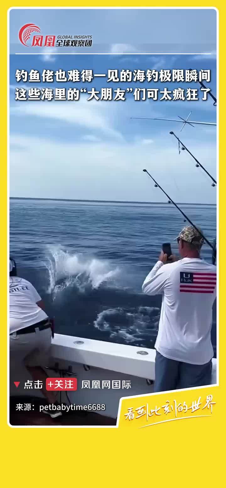 钓鱼佬罕见极限瞬间，海里这些“大朋友”真是疯狂！#海钓 #动物