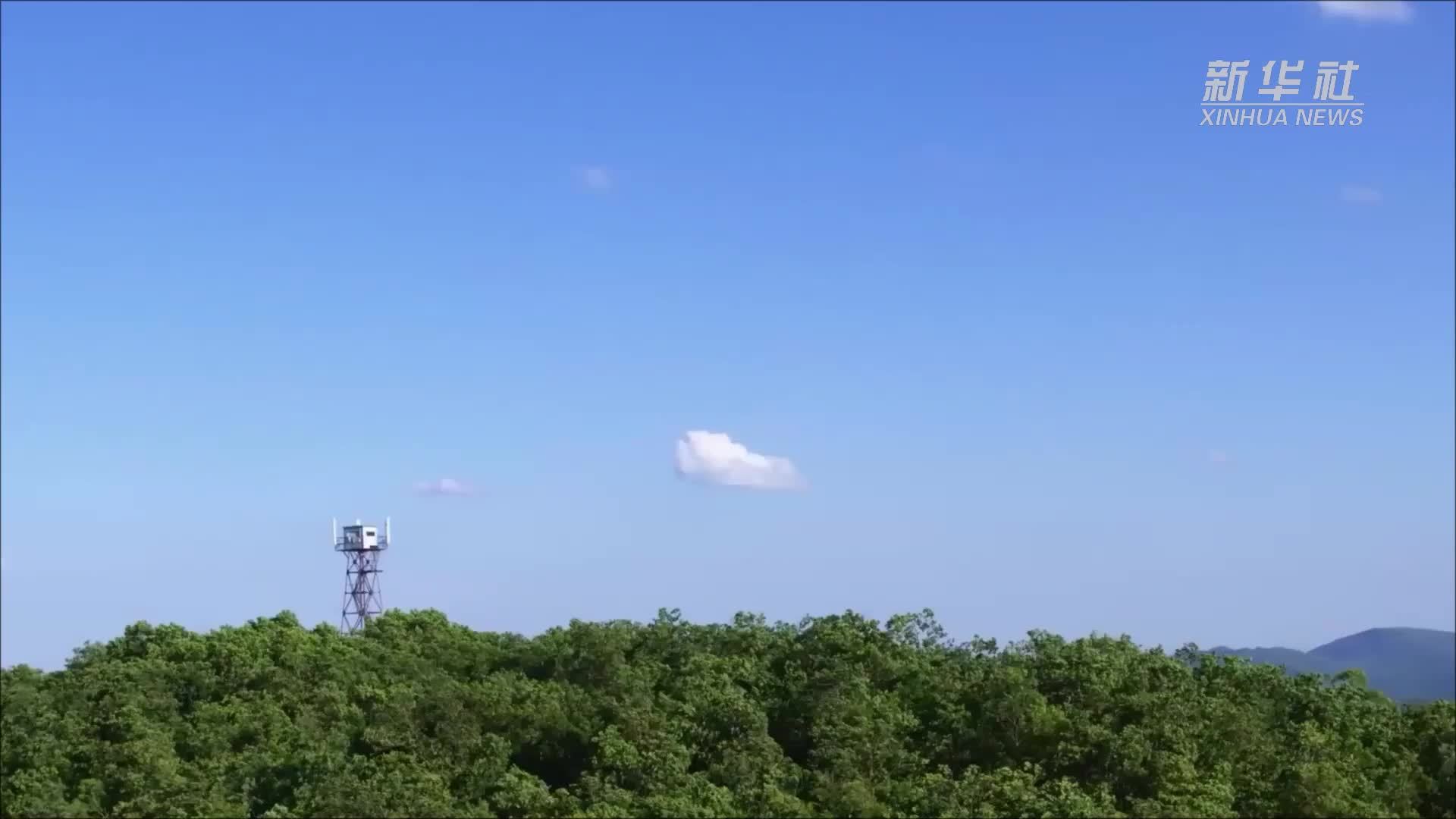 东北虎豹国家公园：发挥自然教育功能 守护野生动物家园