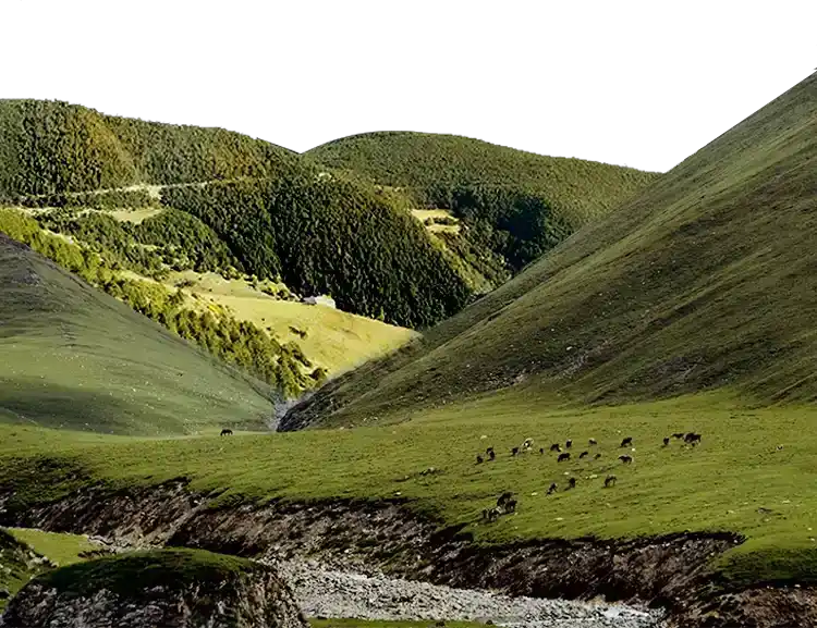 背景图2