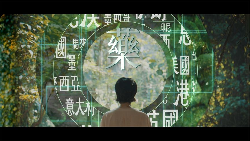 《四海中医》寻根亚洲 体验本草日常